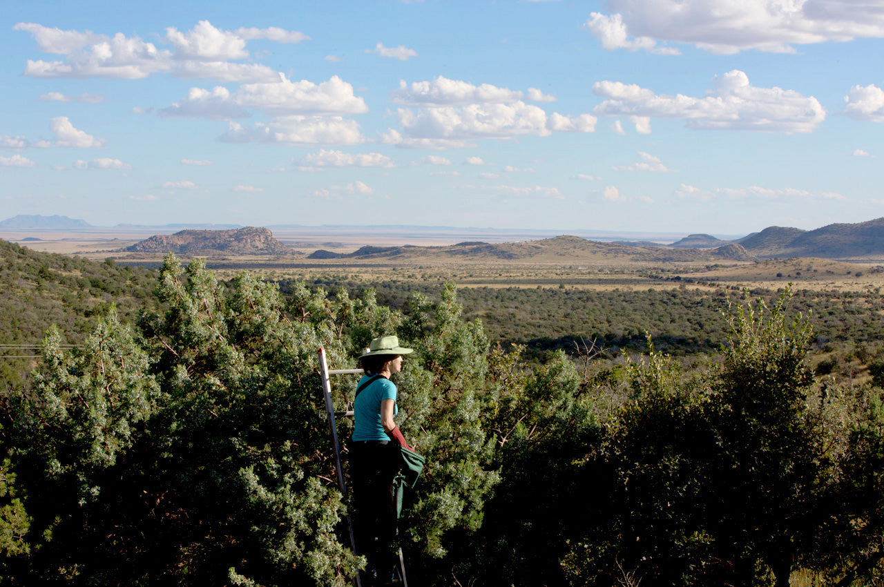 The Davis Mountains in West Texas